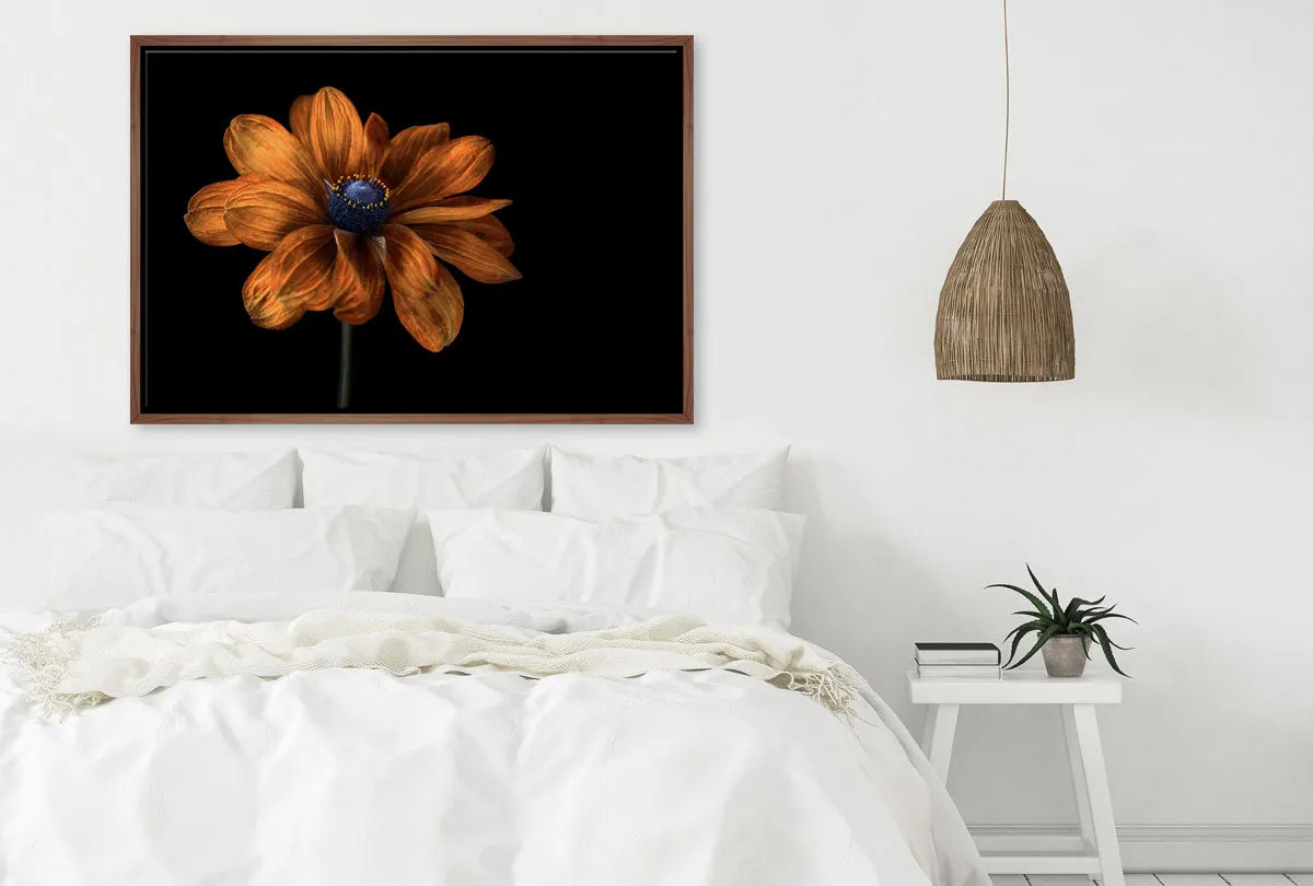 Golden Coneflower | Floral Wall Art Print