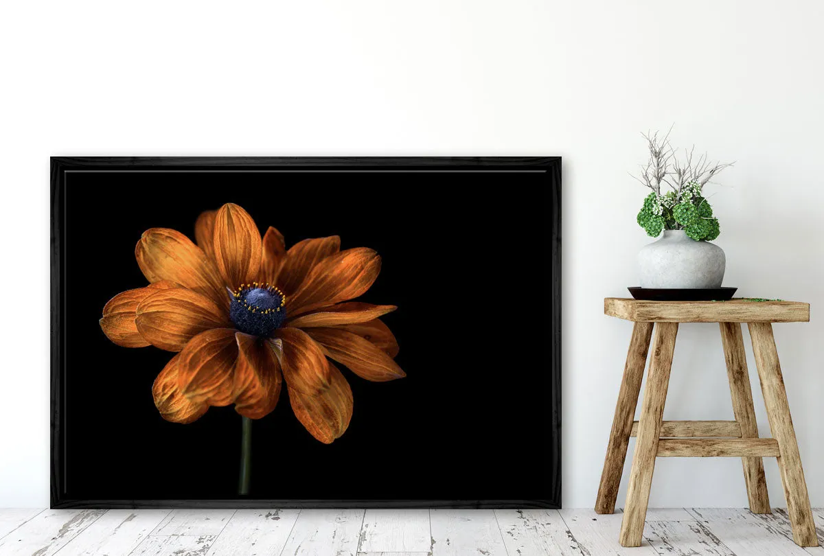 Golden Coneflower | Floral Wall Art Print