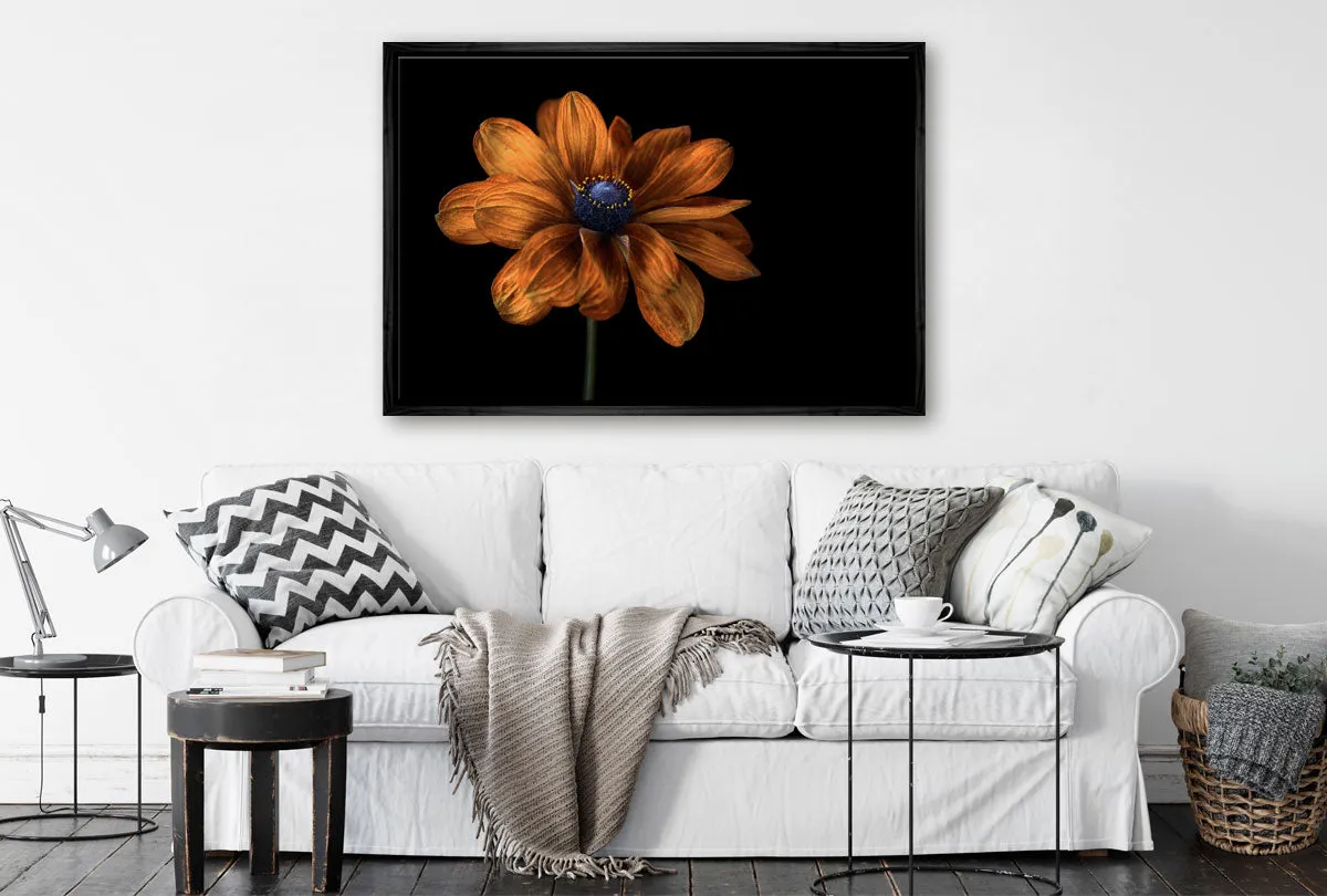 Golden Coneflower | Floral Wall Art Print