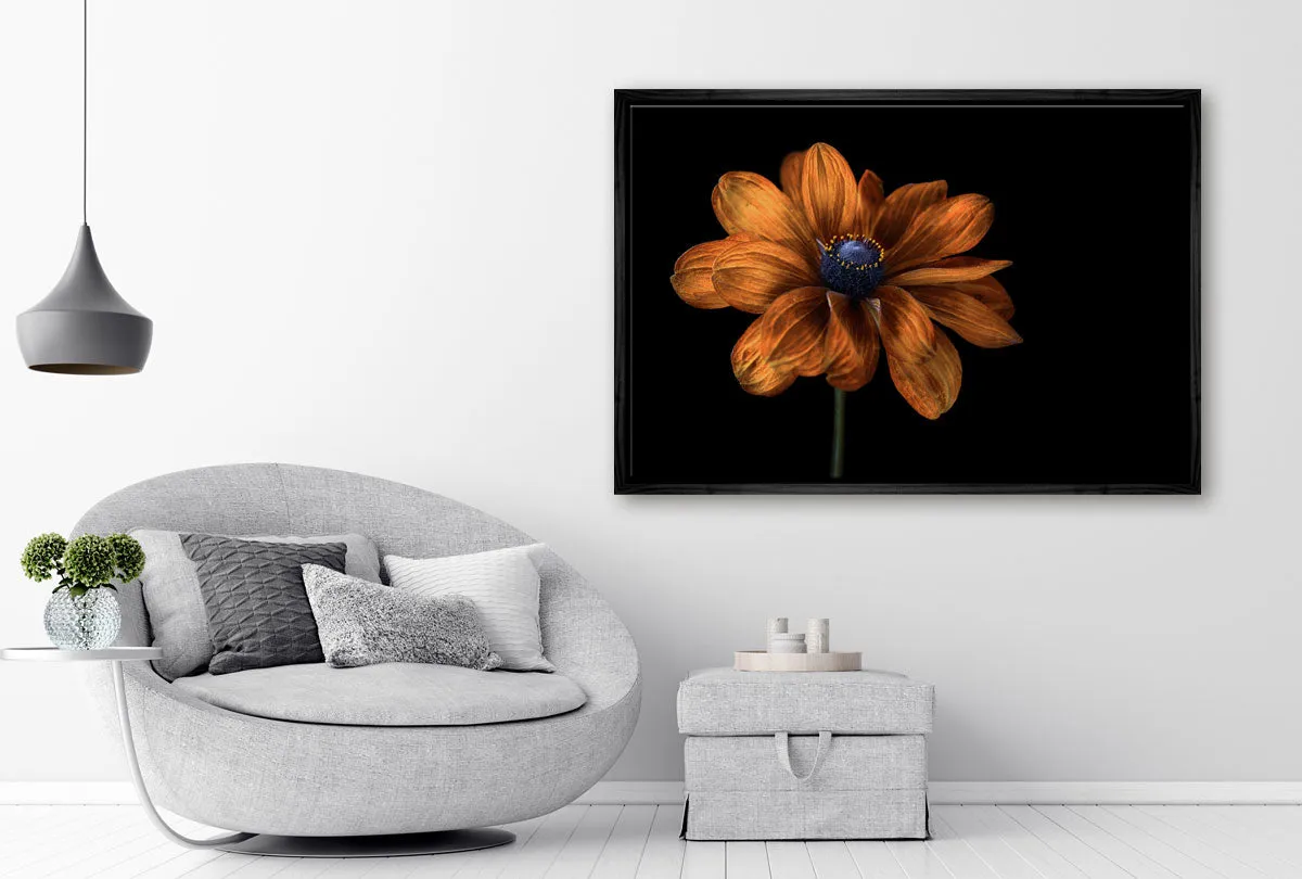 Golden Coneflower | Floral Wall Art Print