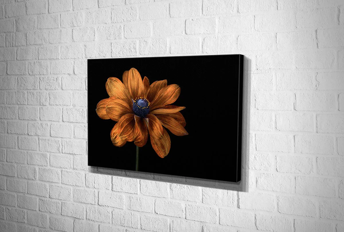Golden Coneflower | Floral Wall Art Print